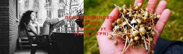 стафф Верхний Тагил