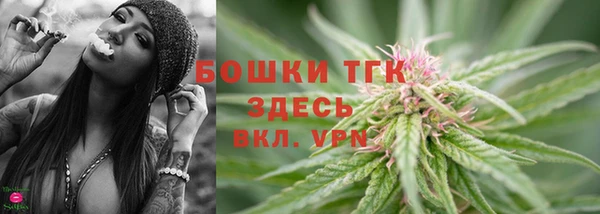 PSILOCYBIN Верея