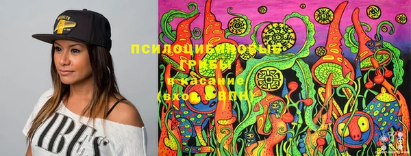 стафф Верхний Тагил