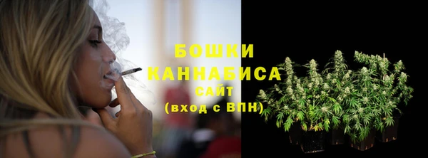 стафф Верхний Тагил