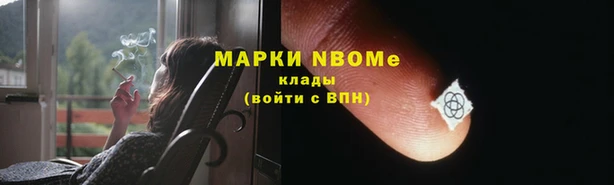 PSILOCYBIN Верея