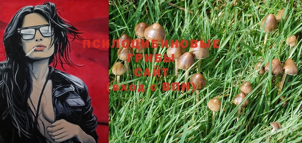PSILOCYBIN Верея