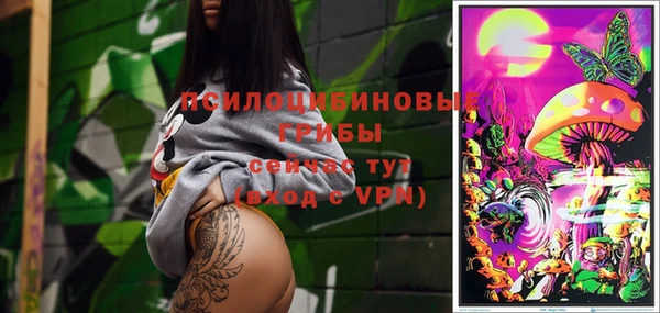 ГАЛЛЮЦИНОГЕННЫЕ ГРИБЫ Верхнеуральск