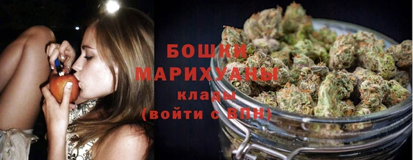 стафф Верхний Тагил