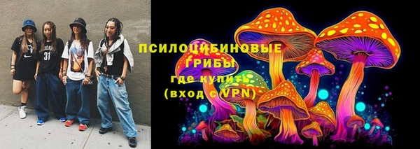 стафф Верхний Тагил