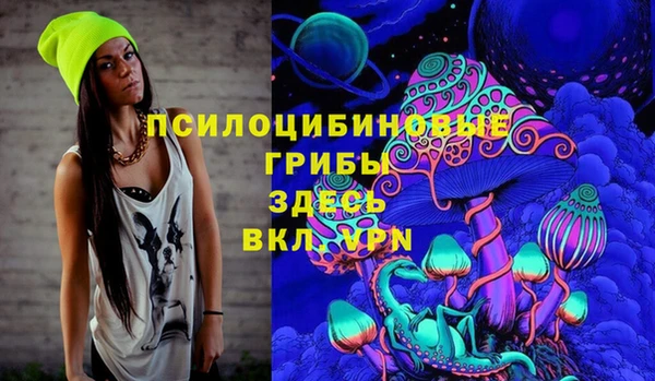 ГАЛЛЮЦИНОГЕННЫЕ ГРИБЫ Верхнеуральск